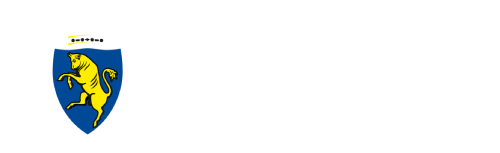 Logo of Città di Torino