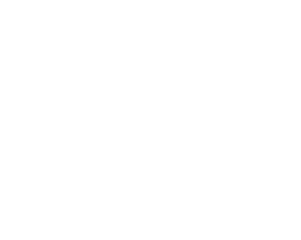 Logo of WordCamp Europe 2025 in Basel 